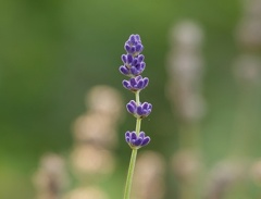 851 9583 DxO Web Schnitt corr 937 2034