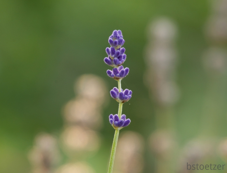 851 9583 DxO Web Schnitt corr 937 2034