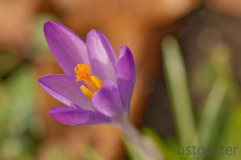 852 1741Cut final 2035