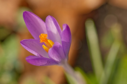 852 1741Cut final 2035