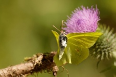 851 7530 DxO Web Schnitt 2047