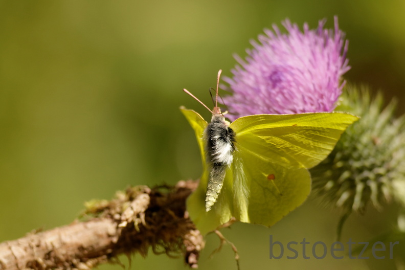 851 7530 DxO Web Schnitt 2047