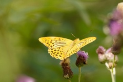 851 7542 DxO Web Schnitt 750 2037