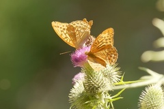 851 7559 DxO Web Schnitt 2070