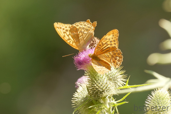 851 7559 DxO Web Schnitt 2070