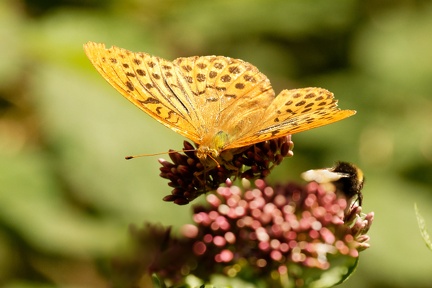 851 7570 DxO Web Schnitt 2055