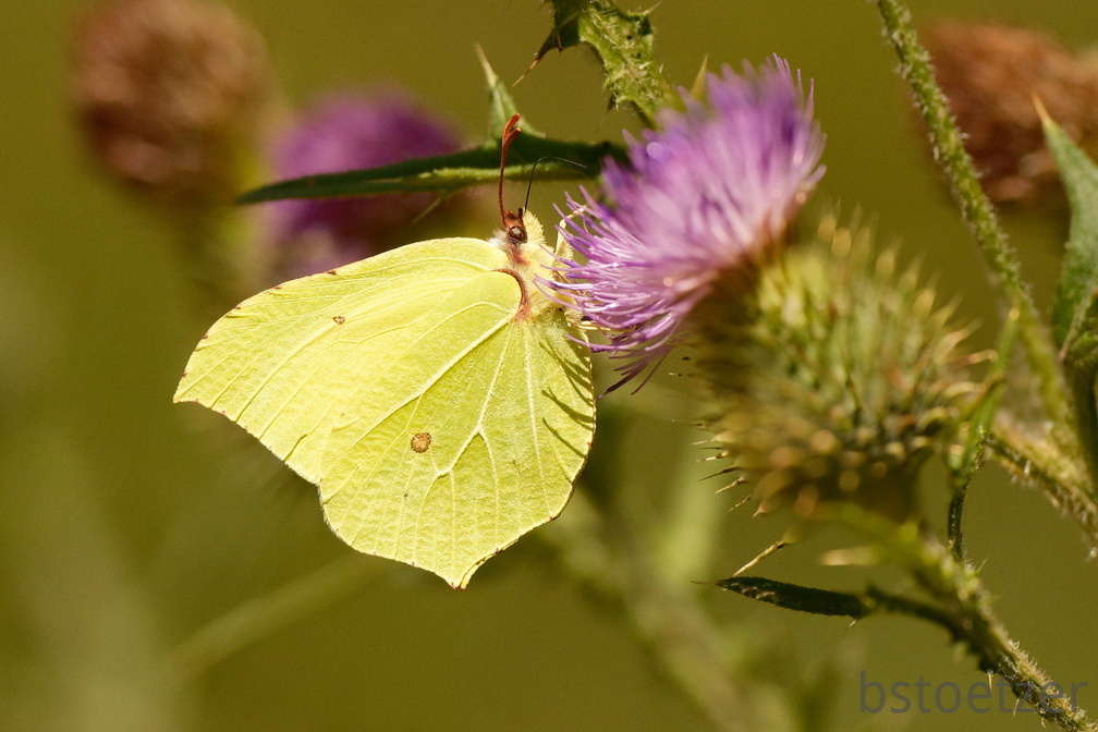 851 7596 DxO Web Schnitt 973 2050