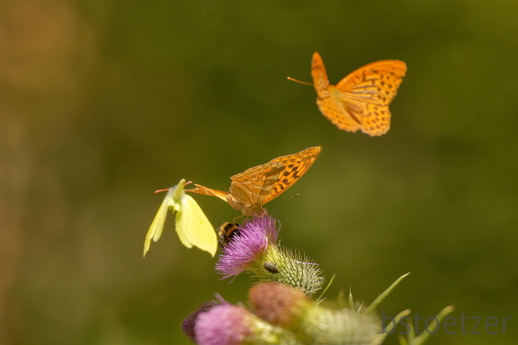 851 7601 DxO Web Schnitt corr 942 2054