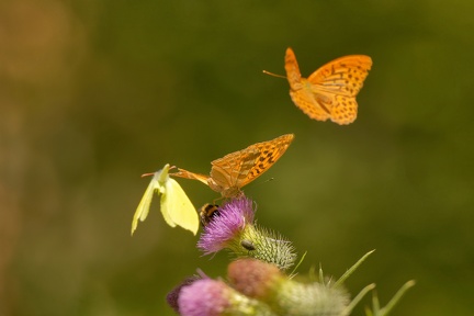 851 7601 DxO Web Schnitt corr 942 2054