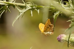 851 7614 DxO Web Schnitt 1 755