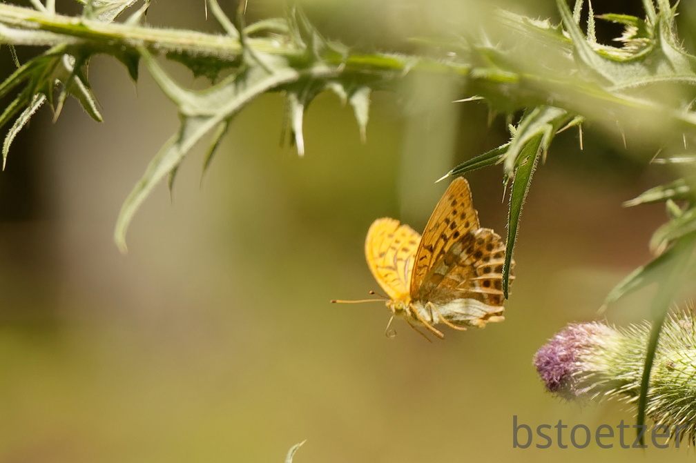 851 7614 DxO Web Schnitt 1 755