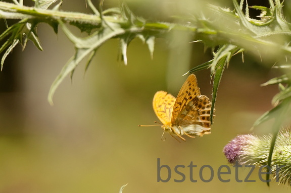 851 7614 DxO Web Schnitt 1 755