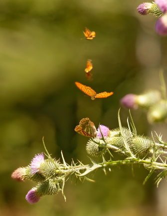 851 7626 DxO Web Schnitt 2067