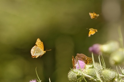 851 7629 DxO Web Schnitt 751 2042