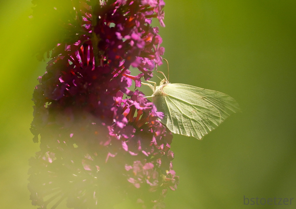 851 8288 DxO Web Schnitt 2065