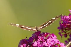 851 8367 DxO Web Schnitt 975