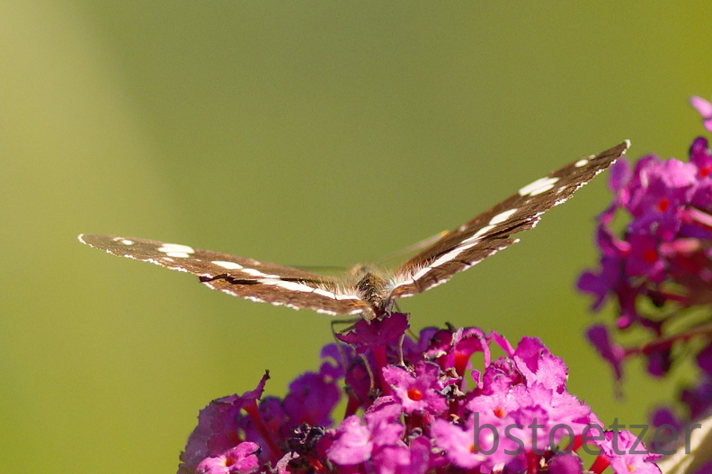 851 8367 DxO Web Schnitt 975