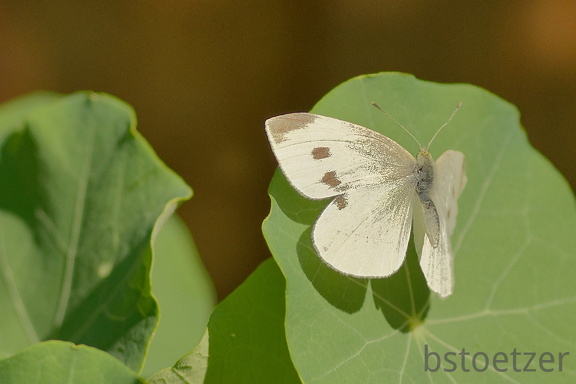 851 8402 DxO Web Schnitt 770