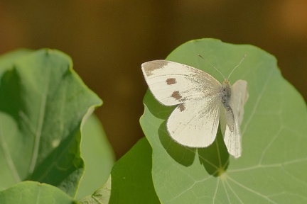 851 8402 DxO Web Schnitt 770