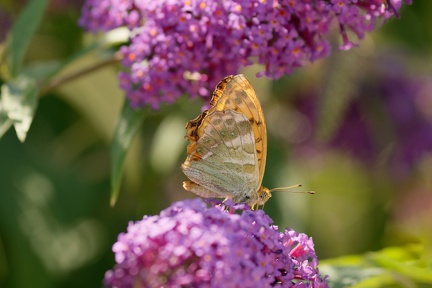 851 8441 DxO Web Schnitt corr 939 2053