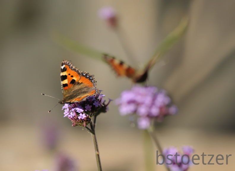 A32 6823 Schnitt 2058