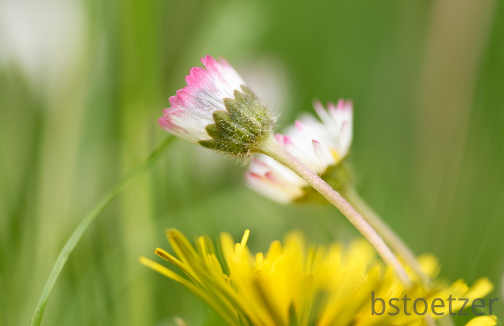 850 3104 DxO com 2158