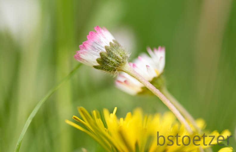 850 3104 DxO com 2158