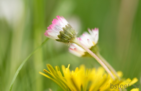 850 3104 DxO com 2158