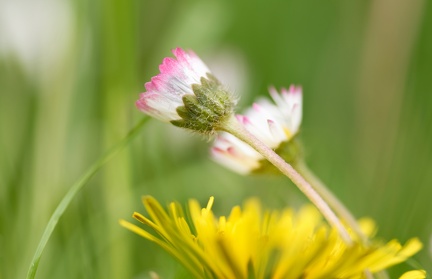 850 3104 DxO com 2158