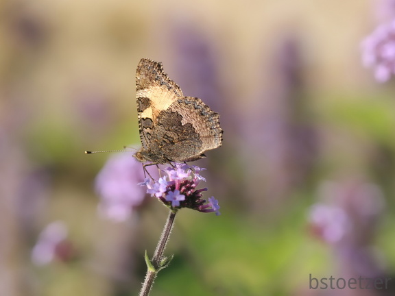 A32 6834 Schnitt 2254