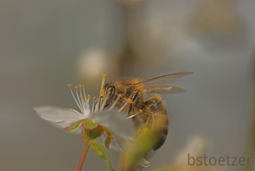 10Mbyte NEW2938-01 2245