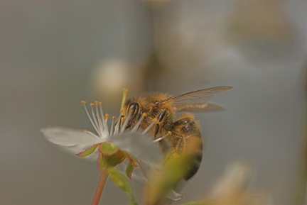 10Mbyte NEW2938-01 2245