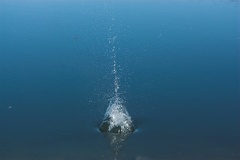 A RAW5042-01 compressed