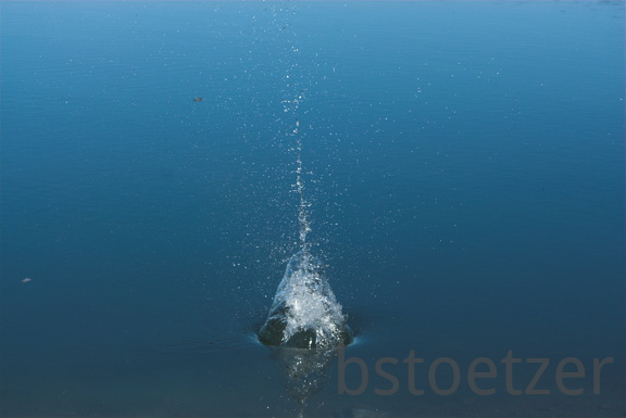 A RAW5042-01 compressed