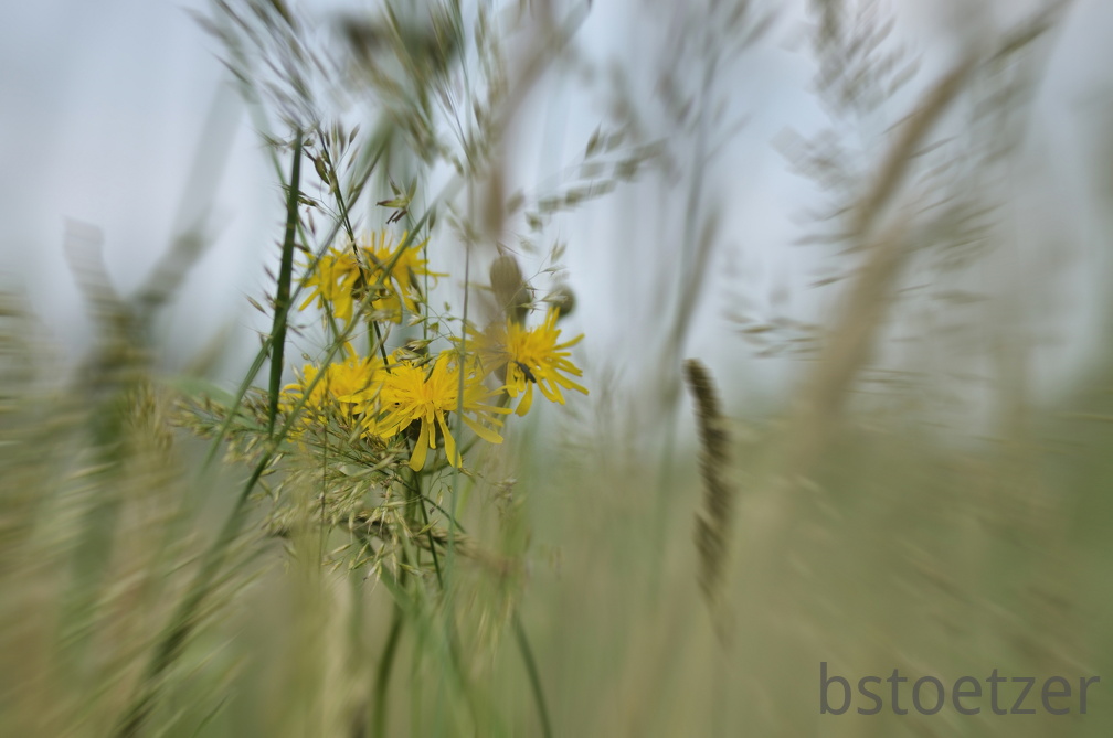 A32 1972 radial Burst Kopie 2248