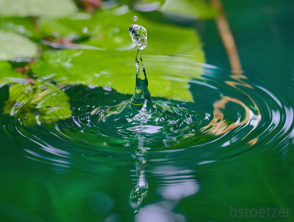 DSC 3116WebWebWebWeb