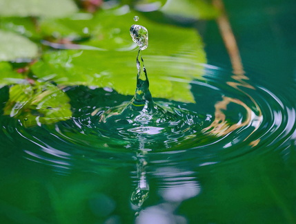 DSC 3116WebWebWebWeb