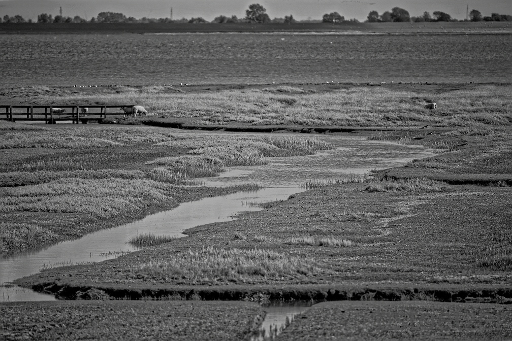 NE1 6304 DxO 01