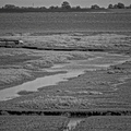 NE1 6304 DxO 01