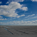 NE1 6332 DxO 01 01 01