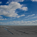 NE1 6332 DxO 01