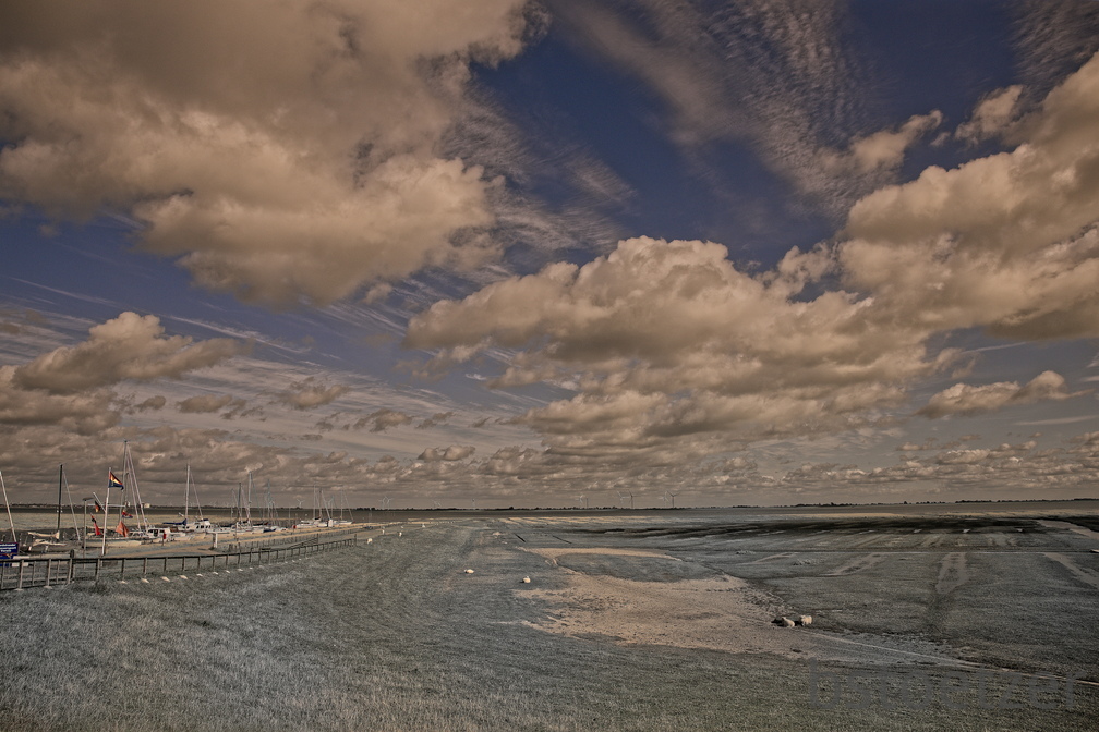 NE1 6334 DxO 01