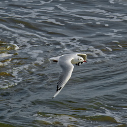 Nordsee_2025