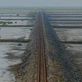 NE1 7507 DxO 01