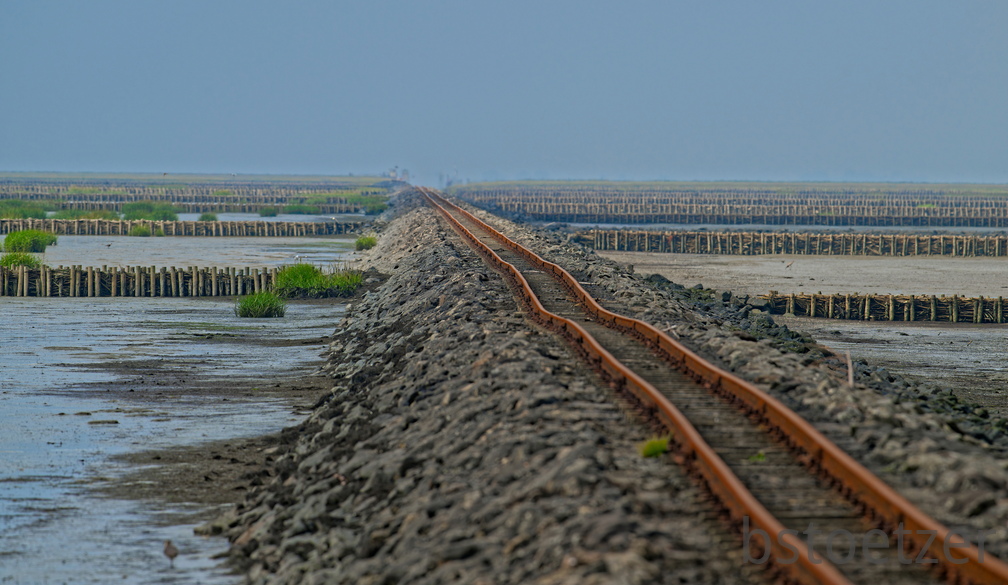 NE1 7515 DxO 01