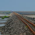 NE1 7515 DxO 01