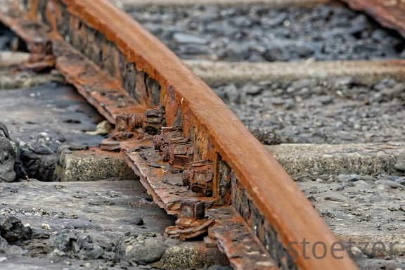 NE1 7528 DxO 01