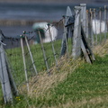 NE1 7588 DxO 01