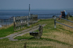 NE1 7589 DxO 01