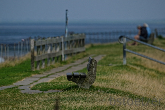 NE1 7589 DxO 01
